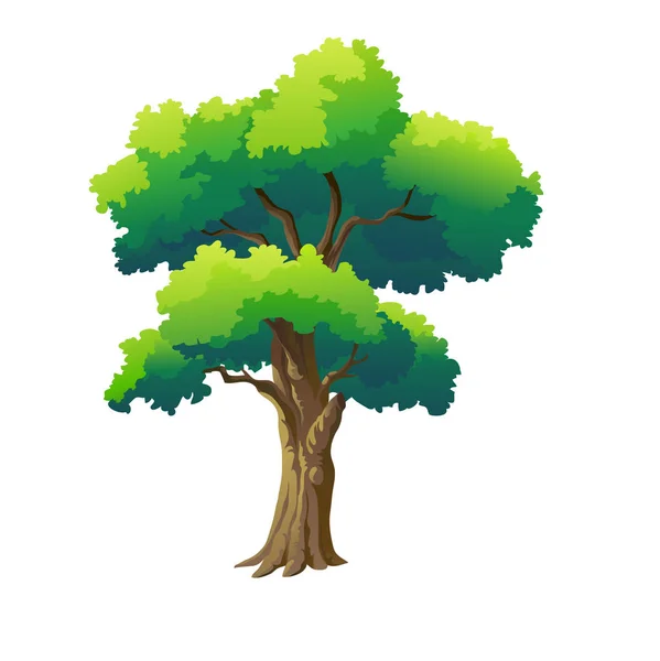 Vektor Illustration För Träd Vit Bakgrund — Stock vektor