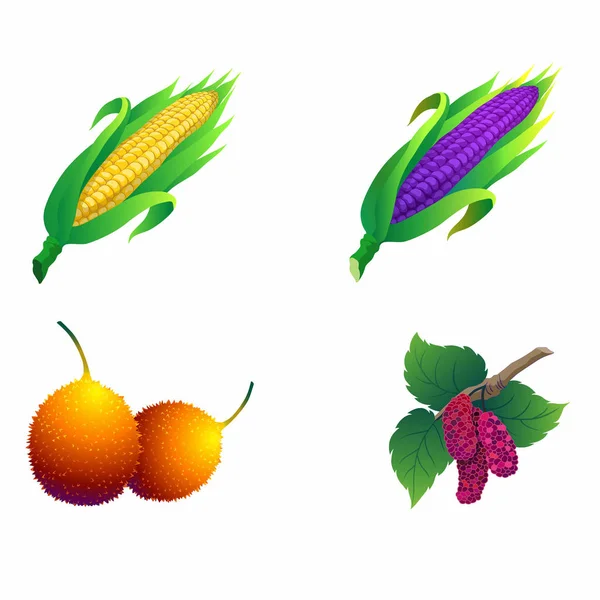 Ovoce a zelenina krmit tělo. — Stockový vektor