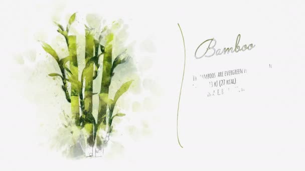 An animated card about bamboo — Stock Video