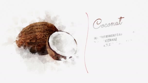 Scheda animata di Cocco con un elenco delle sue proprietà utili — Video Stock