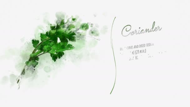 Diapositiva animada sobre las propiedades útiles del cilantro — Vídeo de stock