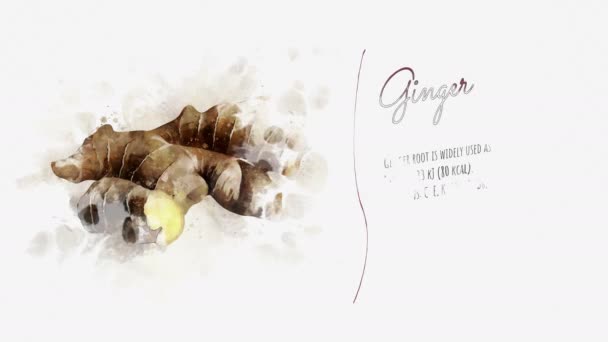 Propiedades útiles de Ginger — Vídeo de stock