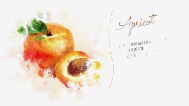 La carte sur Abricot et sa description — Video