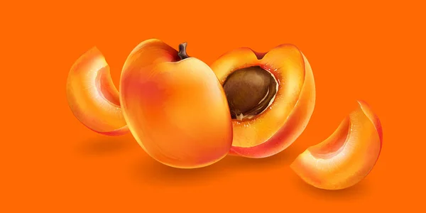 Abricot et tranches — Image vectorielle