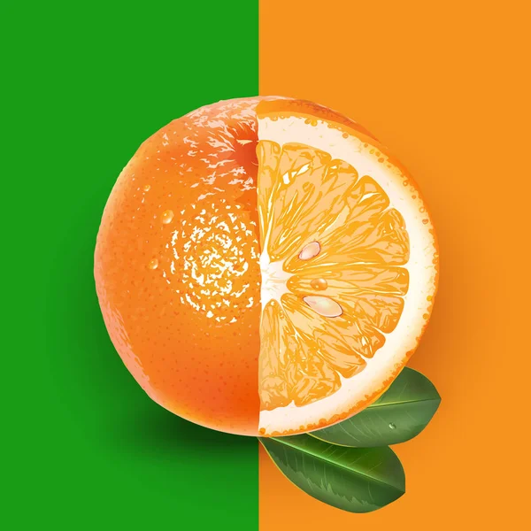 オレンジと葉 — ストックベクタ
