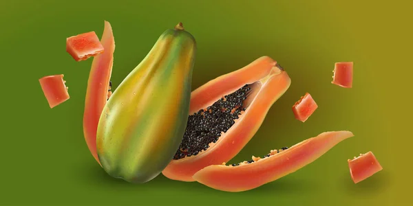 Papaya yeşil zemin üzerine — Stok Vektör