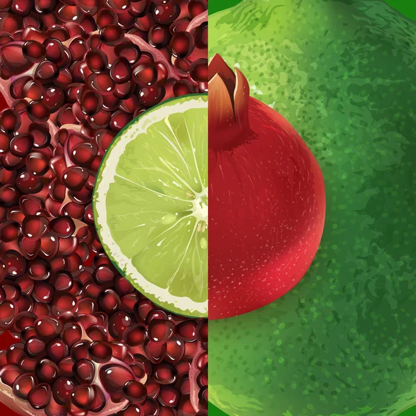 Pomegranate and lime — Stock Vector