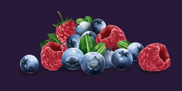 Frambuesas, arándanos y fresas — Vector de stock