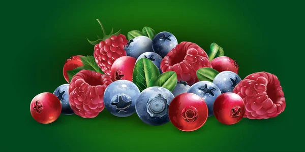 Frambuesas, arándanos, arándanos y fresas — Vector de stock