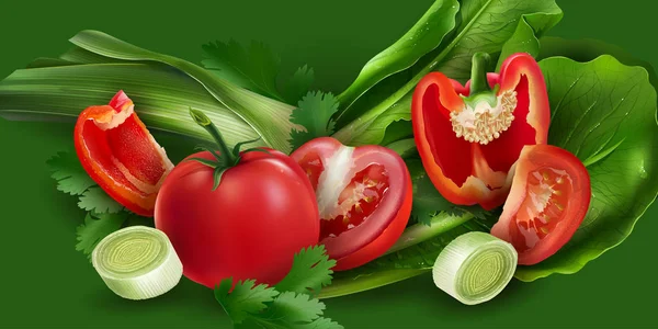 Tomates, pimienta, cebolla y lechuga — Vector de stock