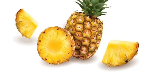 Ananas auf weißem Hintergrund — Stockvektor