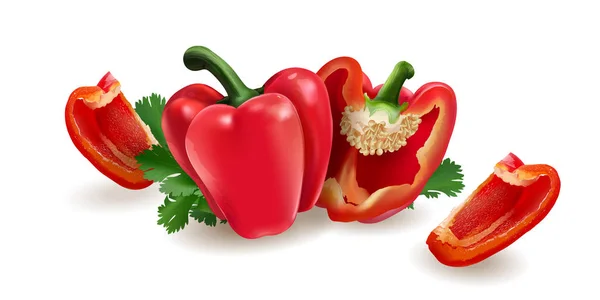 Červená paprika na bílém pozadí — Stockový vektor