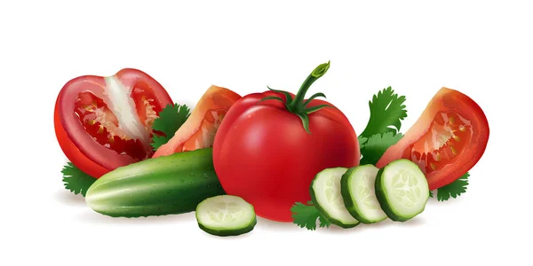 Tomater, gurka och sallad — Stock vektor