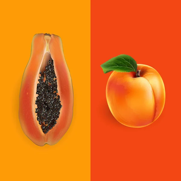 Ilustrasi Papaya dan aprikot — Stok Foto