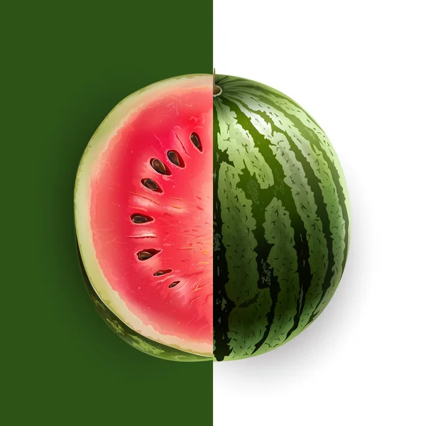 Potongan Ilustrasi Watermelon — Stok Foto