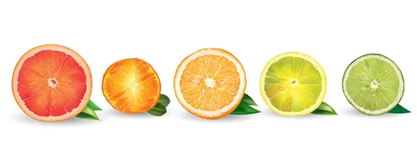 オレンジ、レモン、柑橘類、マンダリン、グレープ フルーツ、ライム — ストック写真