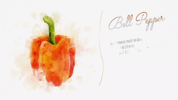 Slide for presentation of orange bell pepper — Stock Video