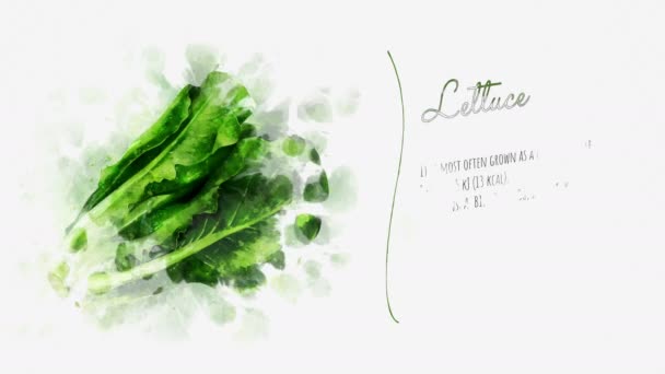 Video-Dia über den Salat und seine vorteilhaften Eigenschaften — Stockvideo