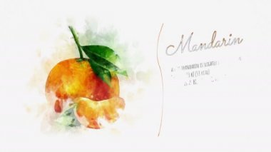 Mandarin yararları hakkında animasyon bilgi