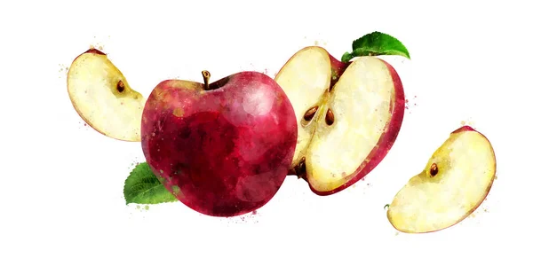 Manzana roja sobre fondo blanco. Ilustración en acuarela —  Fotos de Stock