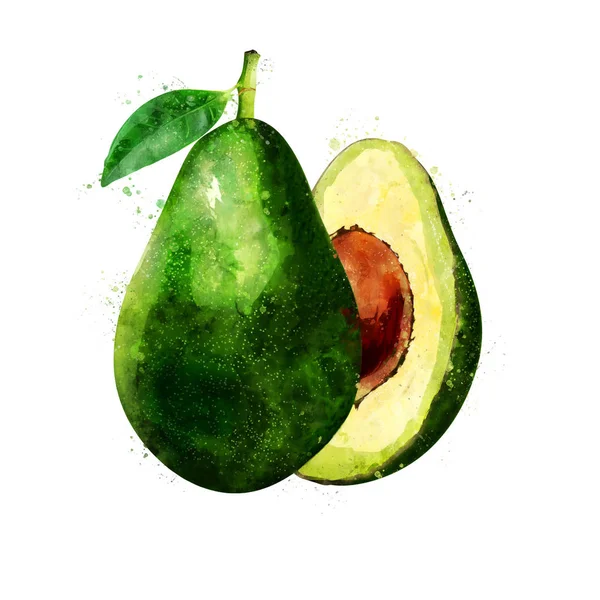 Avokado på vit bakgrund. Akvarell illustration — Stockfoto