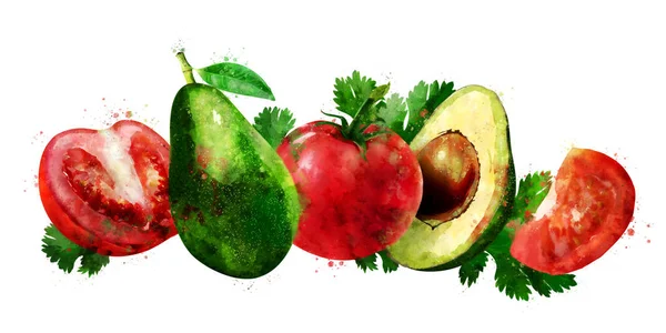 Avocado e pomodoro su sfondo bianco. Illustrazione ad acquerello — Foto Stock