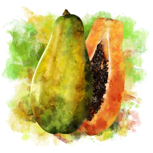 Papaya su sfondo bianco. Illustrazione dipinta a mano ad acquerello — Foto Stock