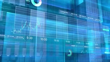 İş finans infographics