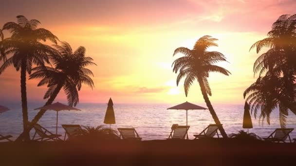 Resort area with palm trees during bright sunset. — Videoclip de stoc