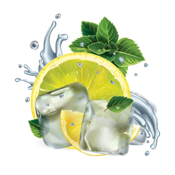Tranches de citron, feuilles de menthe et éclaboussures d'eau avec glaçons — Image vectorielle