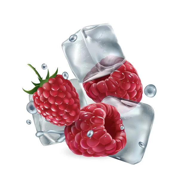 Raspberry segar dengan es batu dan tetesan air - Stok Vektor