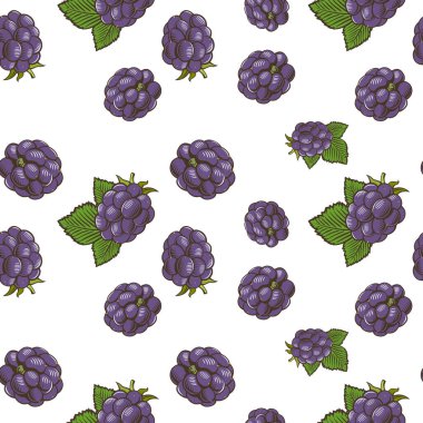 Eski tarz böğürtlenlerle renksiz desen