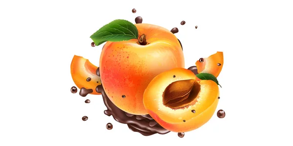 Стиглі абрикоси і бризки рідкого шоколаду . — стоковий вектор
