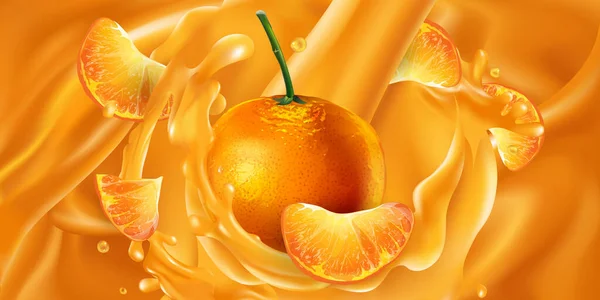 Mandarines entières et tranchées en jus de fruits. — Image vectorielle