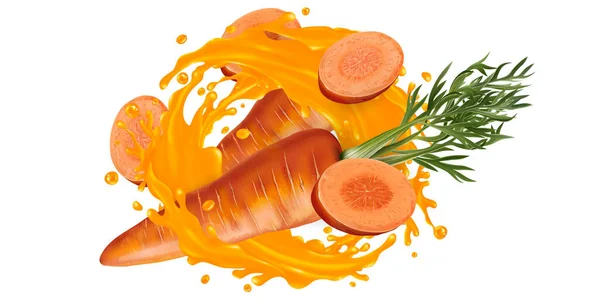 Carota intera e tagliata a fette in una spruzzata di succo vegetale. — Vettoriale Stock