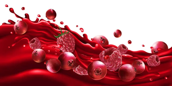 Cranberries e framboesas em uma onda de suco de fruto. — Vetor de Stock