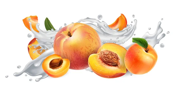 Apricots and peaches in a milk or yogurt splash. — Stock Vector