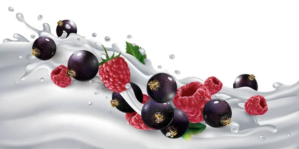 Cassis et framboises sur une vague de yaourt ou de lait. — Image vectorielle