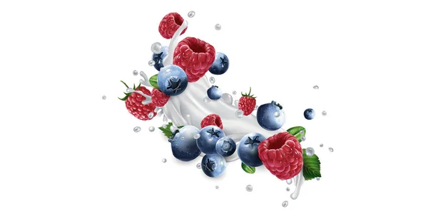 Bleuets et framboises dans des éclaboussures de lait ou de yaourt. — Image vectorielle