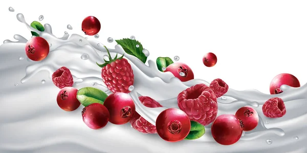 Mirtilli rossi e lamponi su un'onda di yogurt o latte. — Vettoriale Stock
