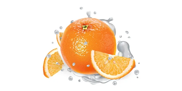 Orange with slices in splashes of yogurt. — Stock Vector