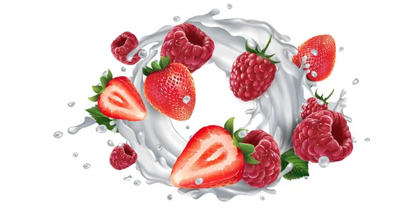 Fraises et framboises et une touche de lait ou de yaourt. — Image vectorielle