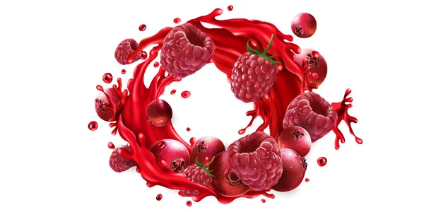 Cranberries e framboesas e um respingo de suco de frutas. —  Vetores de Stock