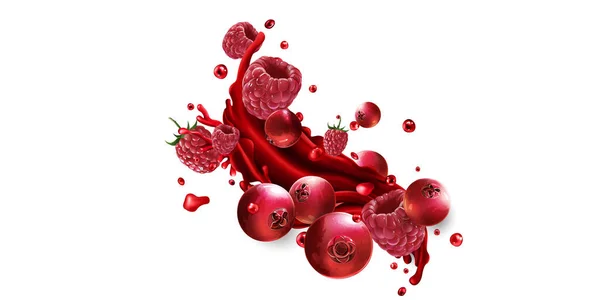 Splash de suco de frutas com cranberries e framboesas frescas. —  Vetores de Stock