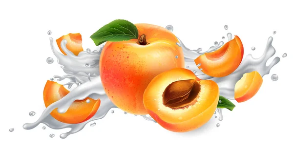 Apricots in a milk or yogurt splash. — Stock Vector