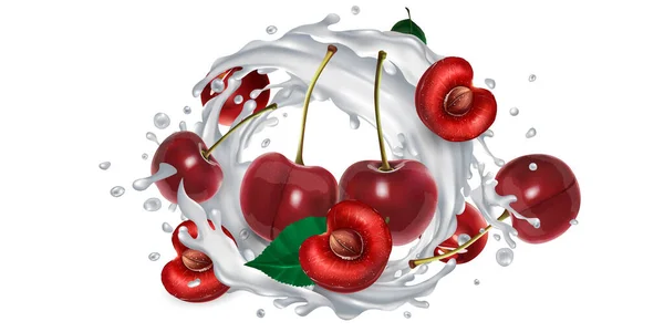 Cerises et une touche de lait ou de yaourt. — Image vectorielle