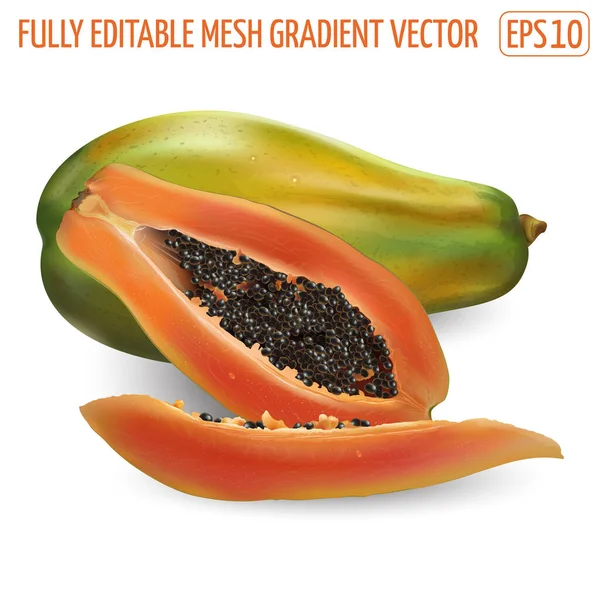 Papaya entera y rebanada sobre un fondo blanco. — Vector de stock