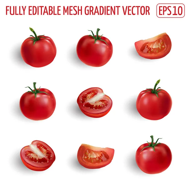 Conjunto de tomates maduros sobre fondo blanco. — Vector de stock
