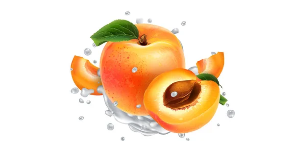 Apricots in splashes of yogurt or milk. — Stock Vector