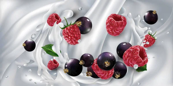 Cassis et framboises dans un cours d'eau de lait ou de yaourt. — Image vectorielle